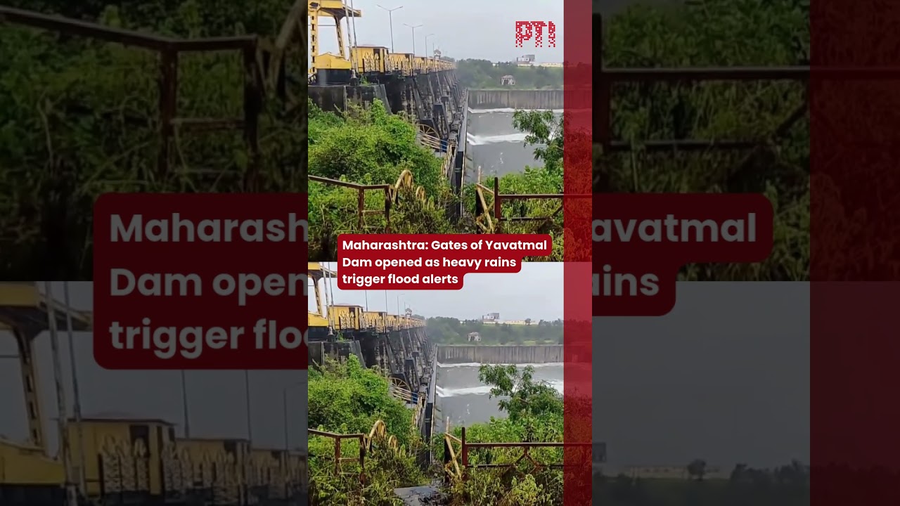 Maharashtra: Gates of Yavatmal Dam opened as heavy rains trigger flood alerts