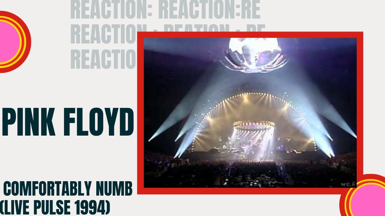REACTION: Pink Floyd: Comfortably Numb: (OMG ...HOW?) Pulse 1994: Ep: 12