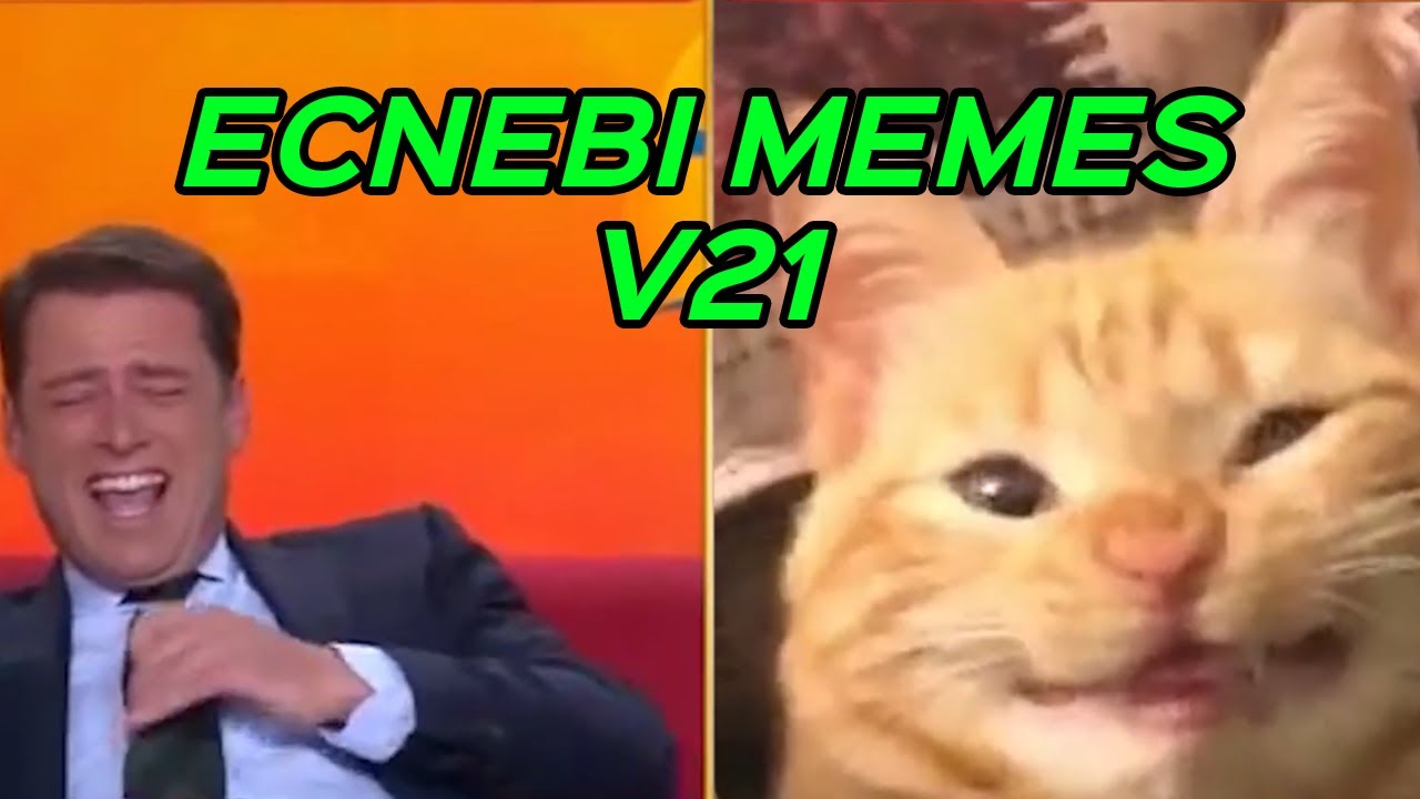 ECNEBI MEMES V21