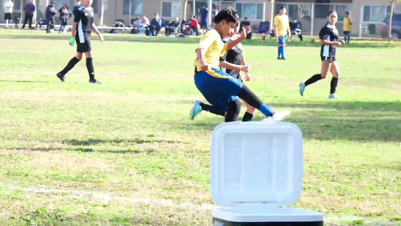 BPFC vs Latinos