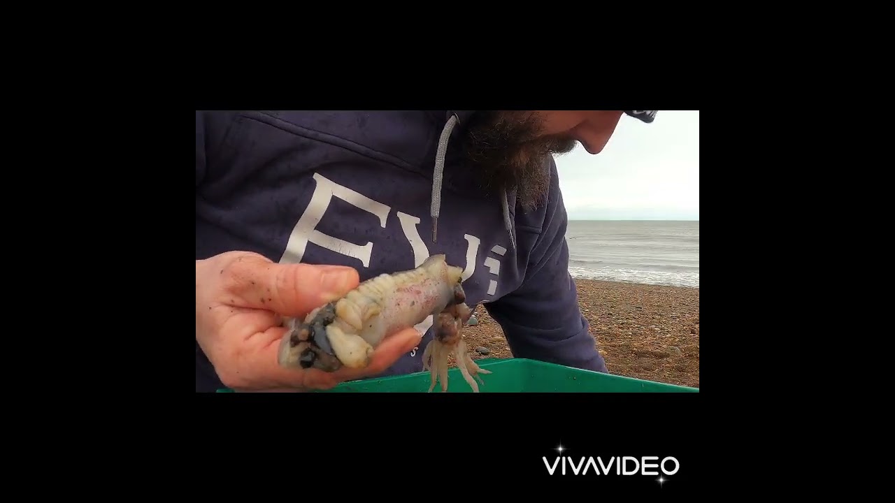 how I rig up using squid, black lug, razor and mackerel