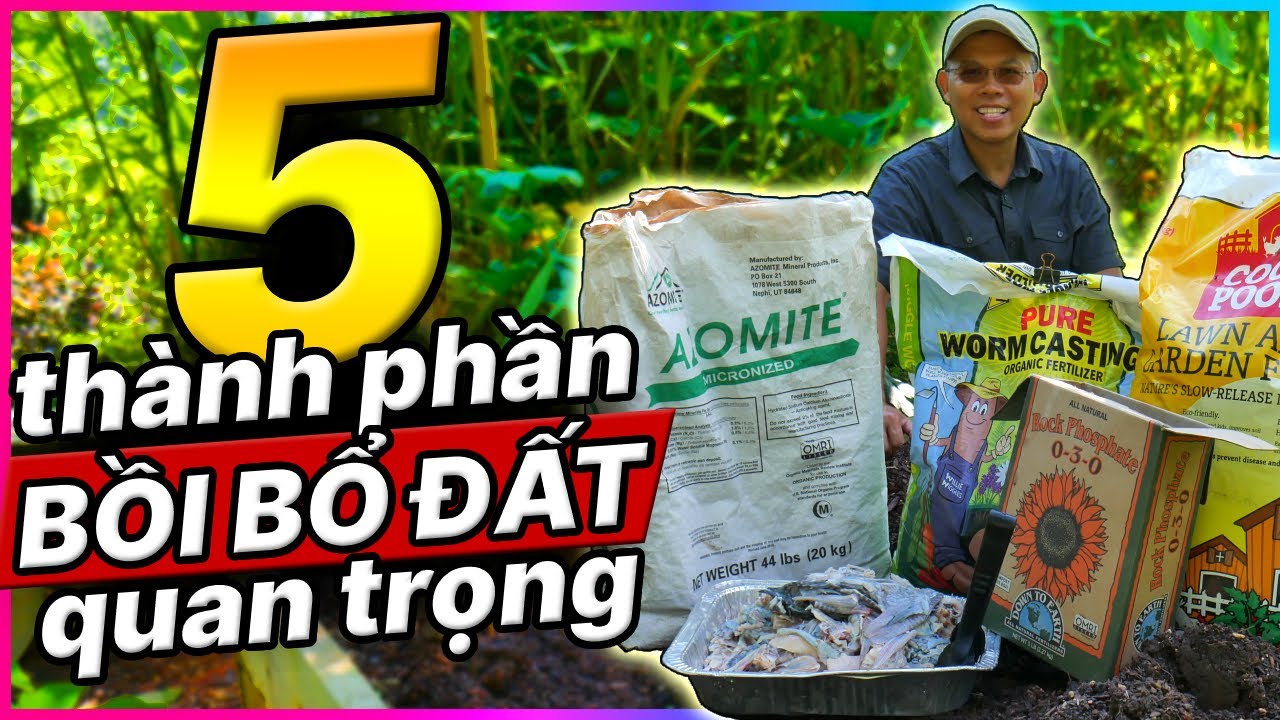 5 thứ bồi bổ KHUNG ĐẤT cho mùa thu đông A-Z