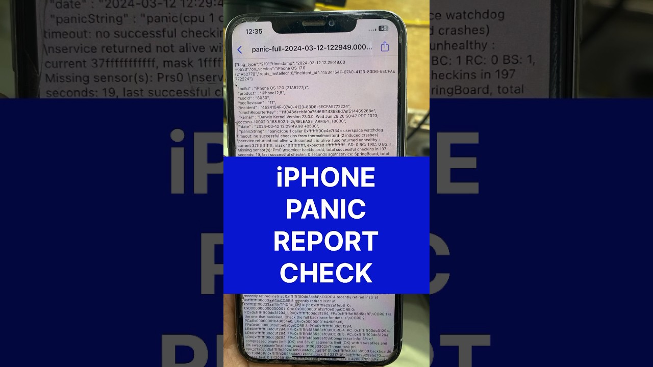 iphone Panic report 