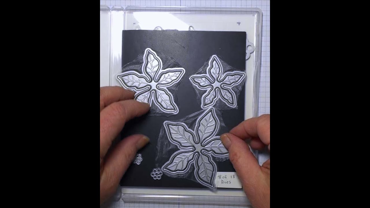 Die Cuts and Press N Seal Tip