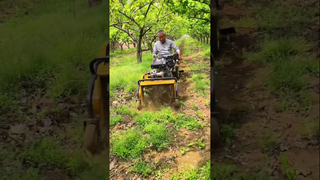 Loosening the soil with sophisticated machinery 