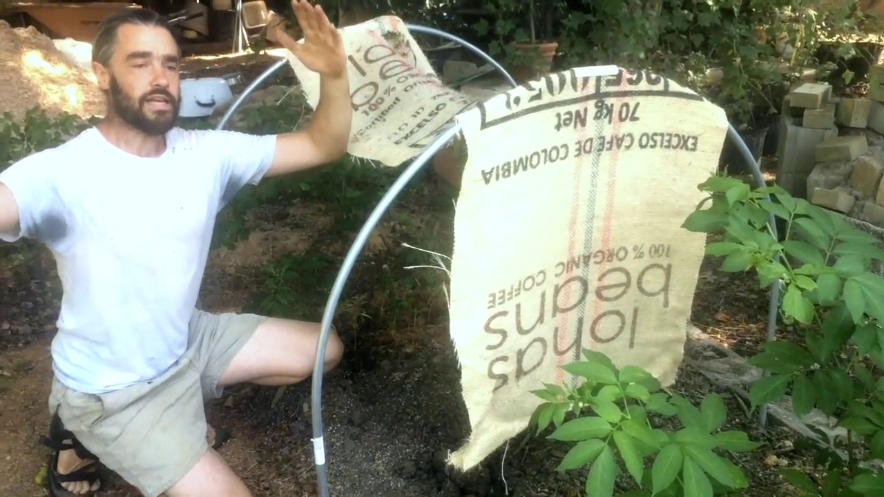 Softwood Propagation - Bubbler Update