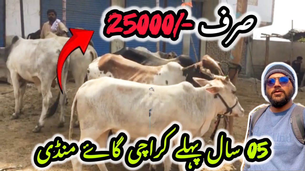 05 YEAR’S BEFORE KARACHI COW MANDI RATES | DUSRA GHAR