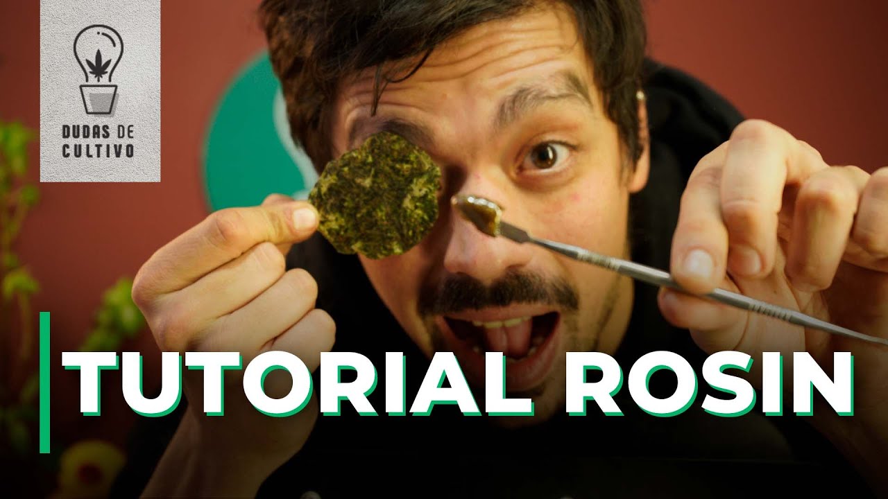 TUTORIAL B&Aacute;SICO ROSIN