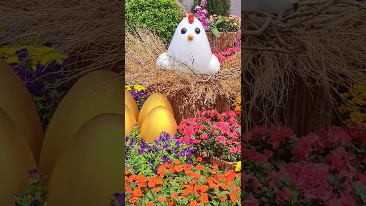 NAMASYAL SA FLOWER SHOW | VICTORIA PARK HONG KONG 