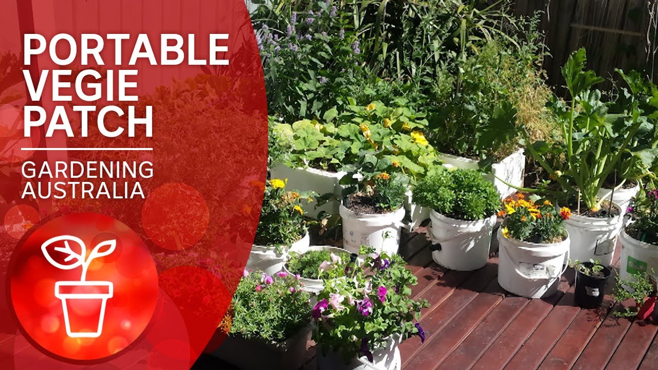 Portable vegie patch for renters with compost station and wicking beds | Gardening Australia