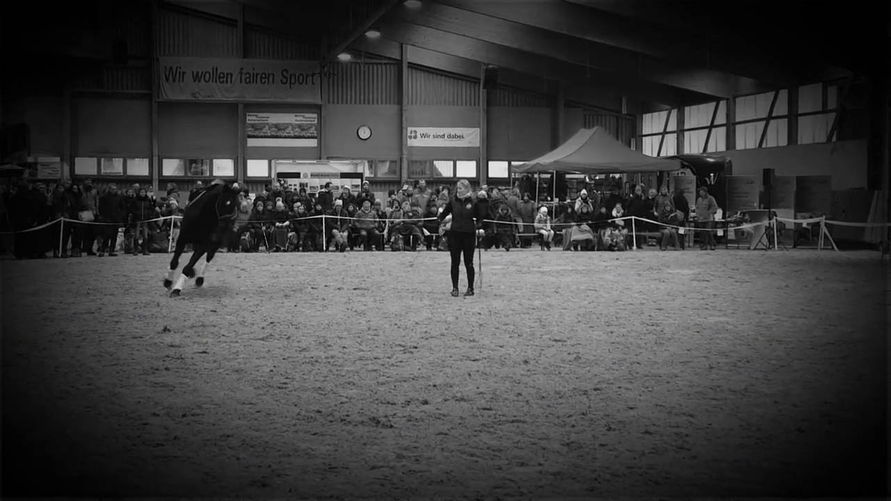 Marion Oesch | Circling Game | On line | Parelli Tournement 2016