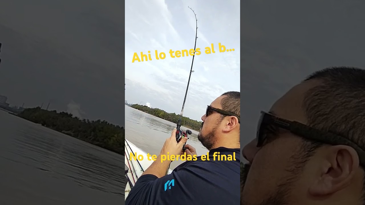 ah&iacute; lo ten&eacute;s al b... no te pod&eacute;s perder el final. al angulo.. #anzuelos #arroyo #fishing #pesca #dog