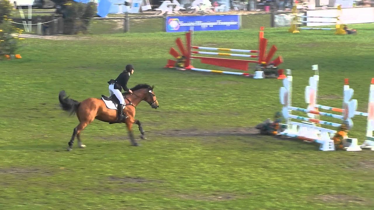 CSO Grande finale cycle libre 1 - Grand Parquet FONTAINEBLEAU le 14.09.14 - sans faute - Sodi