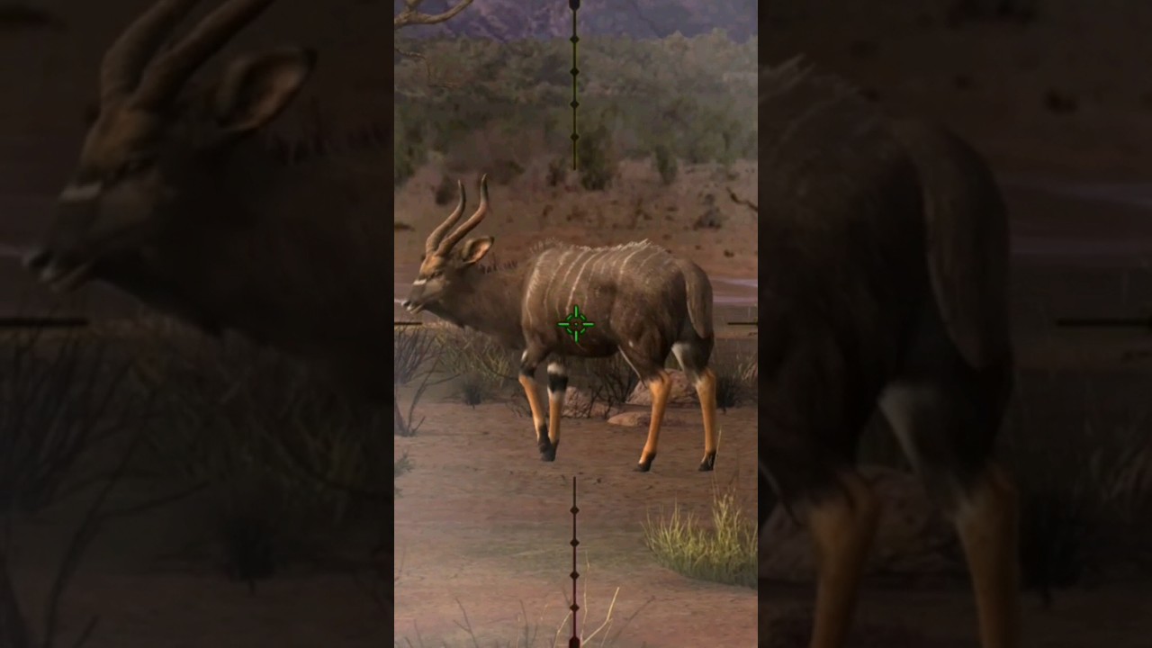 Hunting, Nyala #gaming #viral #animals #shorts