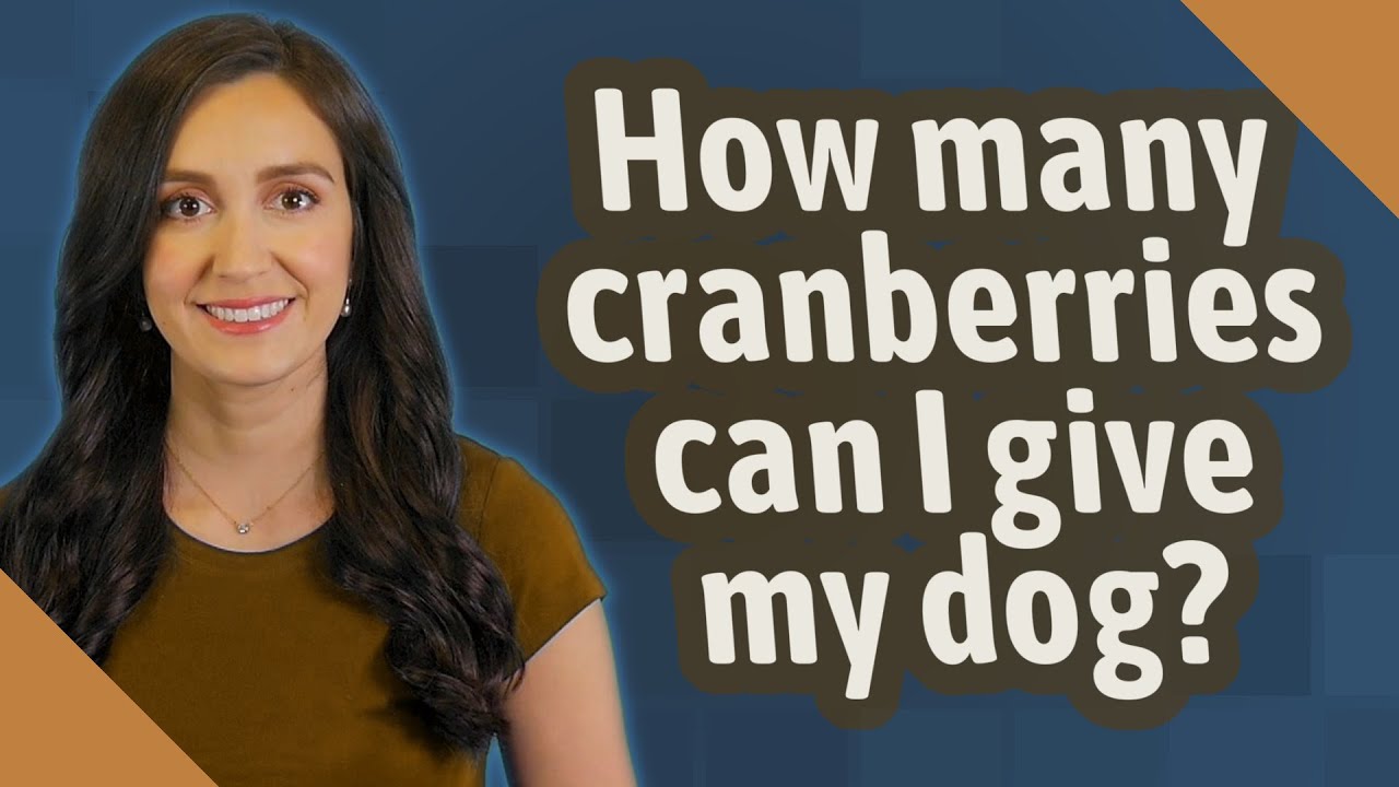 How many cranberries can I give my dog?