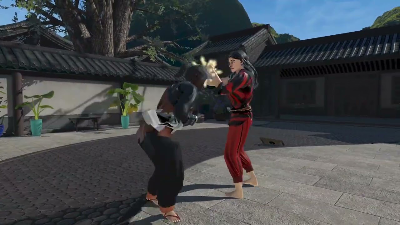 Mei IDK Harder in Dragon Fist VR