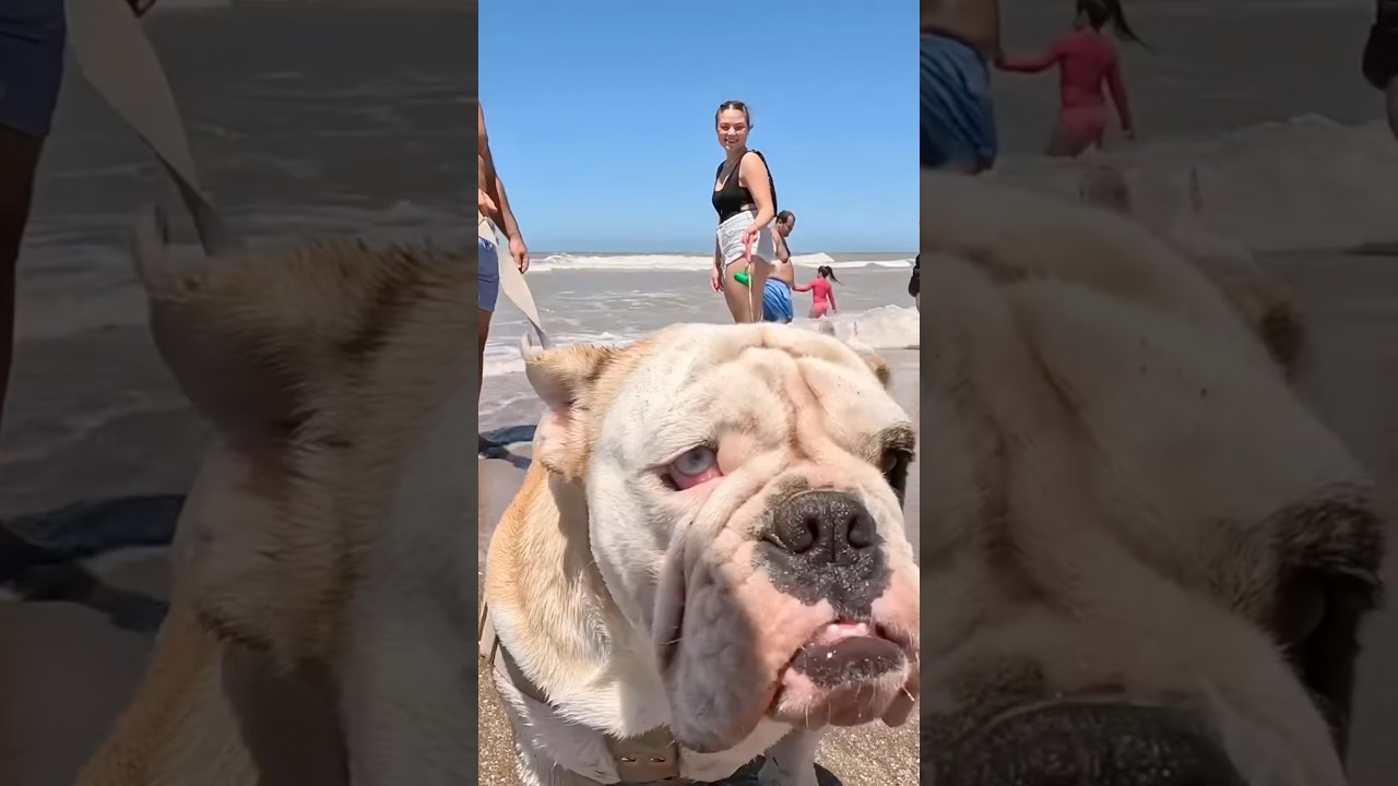 🇦🇷 Villa Gesell Beach Argentina