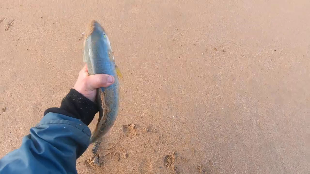 Beach fishing windy and extremely windy