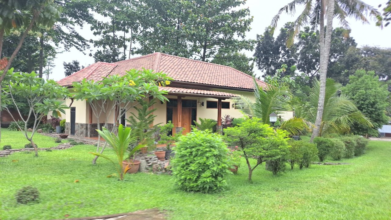 tanah dijual bonus rumah keren