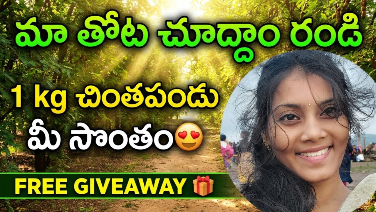 Chinthapandu Giveaway 🎁 😍 | Maa Thota Full Tour 🌳 | Village Life Real Feel