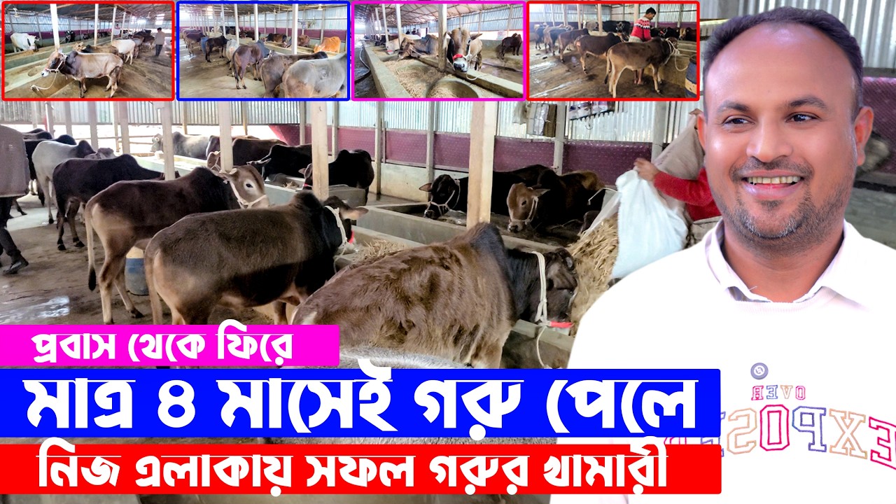 প্রবাস থেকে ফিরে মাত্র চার মাসেই ২২টি গরু থেকে ২৮টি গরু || মাত্র চার মাসেই সফল খামারী || Soha Agro
