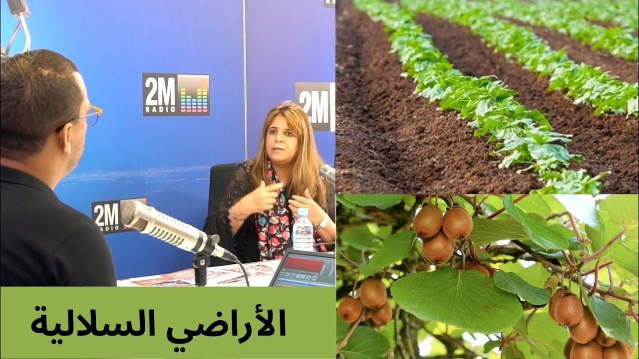 الأراضي السلالية في الغرب /  أراضي الجموع السلالية