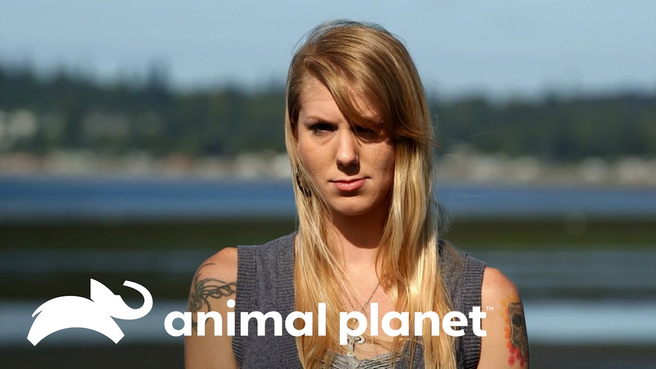 Un extraño virus no la deja respirar | Parásitos Asesinos | Animal Planet Latinoamérica