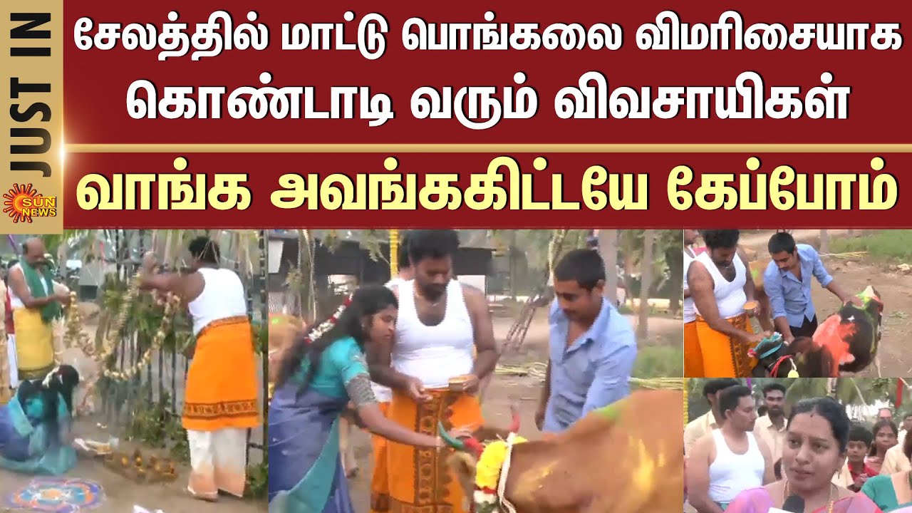 Mattu Pongal - 2026 | Salem | Farmers Celebration | Family | Additional Details