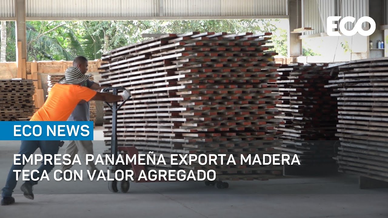 Empresa panameña exporta madera Teca con valor agregado |#EcoNews