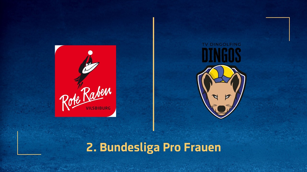Rote Raben Vilsbiburg &ndash; TV Dingolfing (2. Volleyball Bundesliga Pro F 25/26)