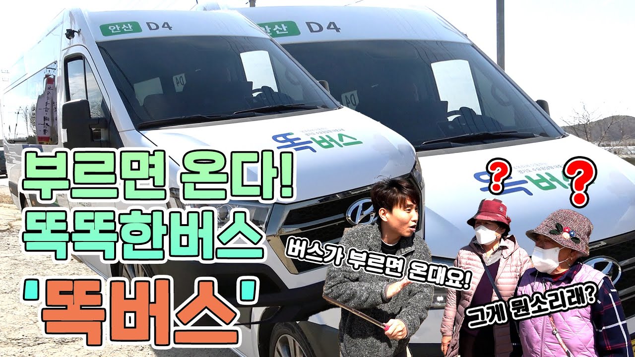 택시도 아니고 누가 버스를 불러요⁉ ✨안산시는 가능‼✨ 똑똑한 버스, 똑버스 🚍️