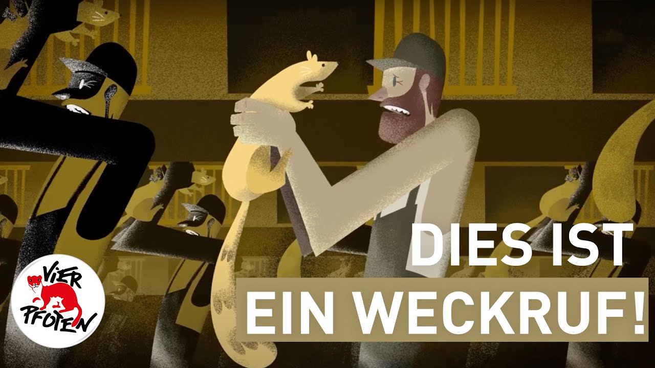 Wenn sie leiden, leiden wir. | VIER PFOTEN