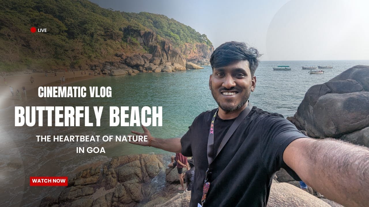 BUTTERFLY BEACH GOA || THE HEARTBEAT OF NATURE IN GOA || GOA TRIP DAY 4