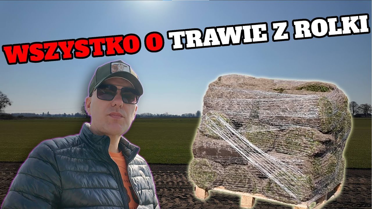 TRAWA Z ROLKI OCZAMI DOMELOSA