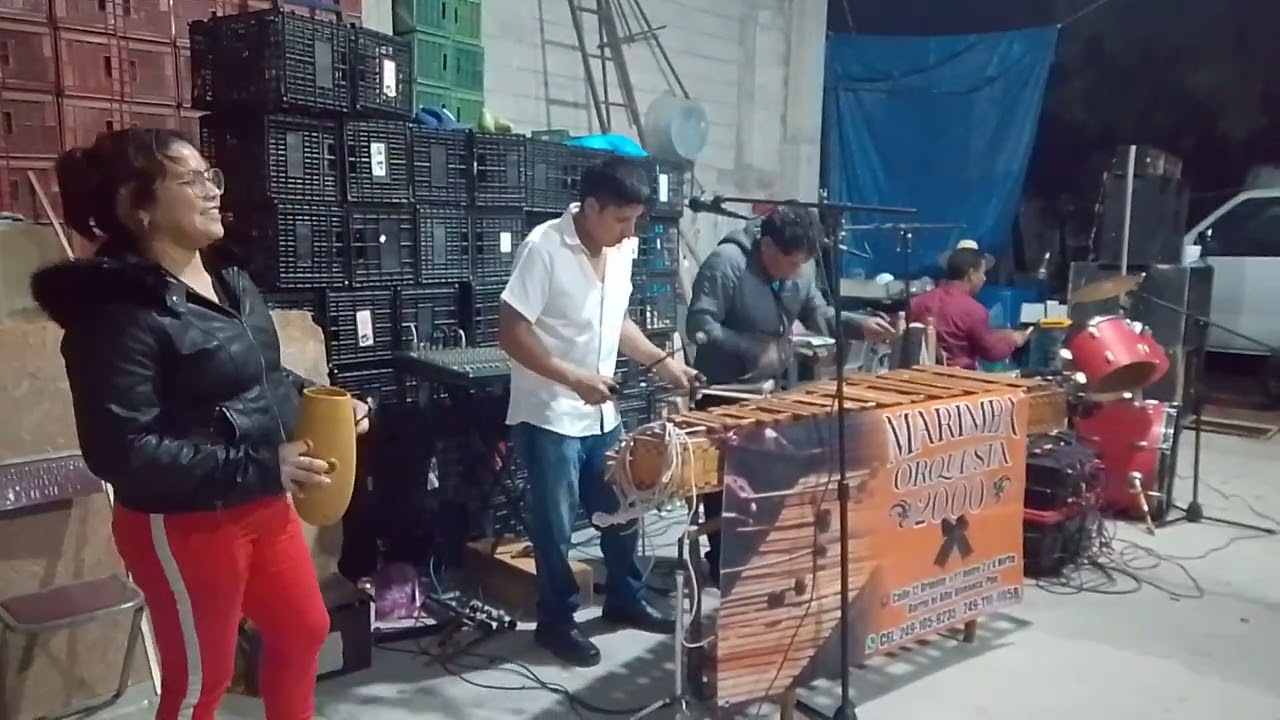 Marimba 2000 No tengo derechos de autor