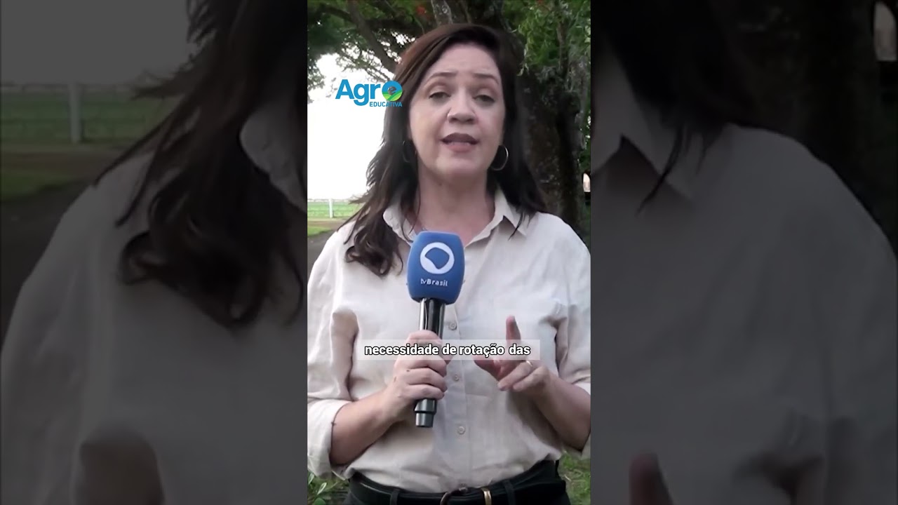 Mato Grosso do Sul: A NOVA fronteira do amendoim!