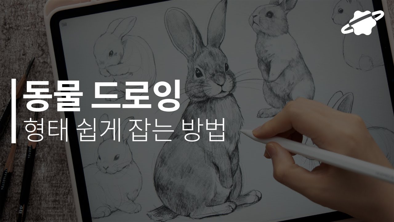 동물 드로잉 토끼편✏ 형태 잡는 방법부터 세부묘사까지