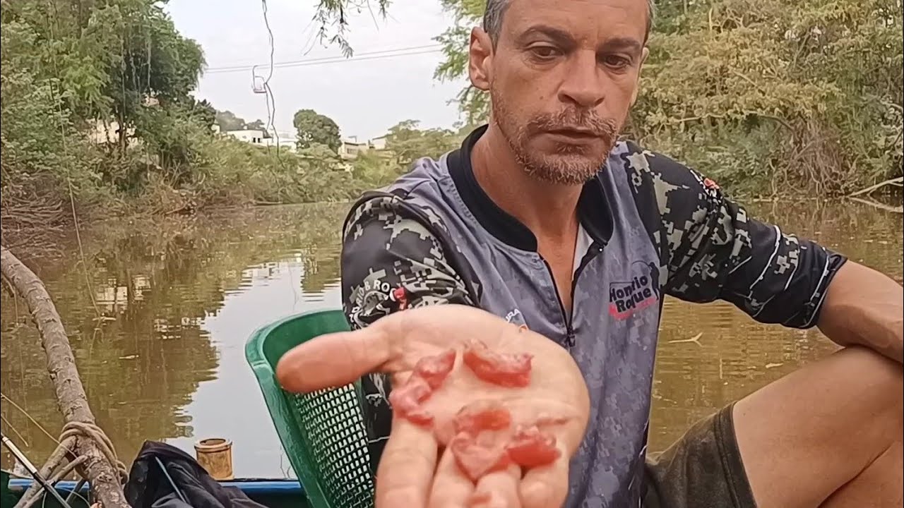 pescaria com isca de peito de frango na groselha!!! fartura de peixes surpreendeu!!!!