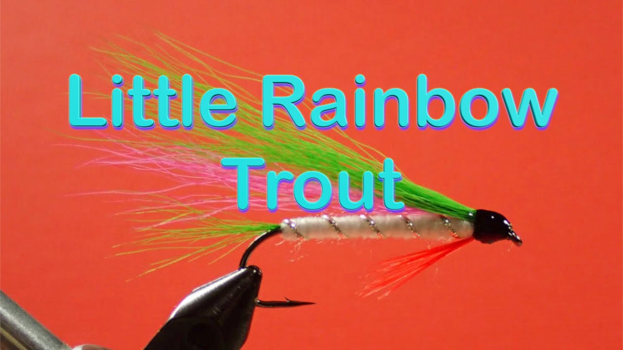 The Beginner's Fly Tying Series: Easy Streamer Series - the Little Rainbow Trout