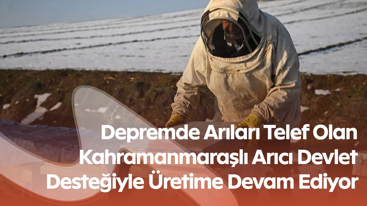Kahramanmaraş’ta Arıcı Ramazan Say Bal ve Arı Sütü Üretimine Başladı | Devlet Hibesi