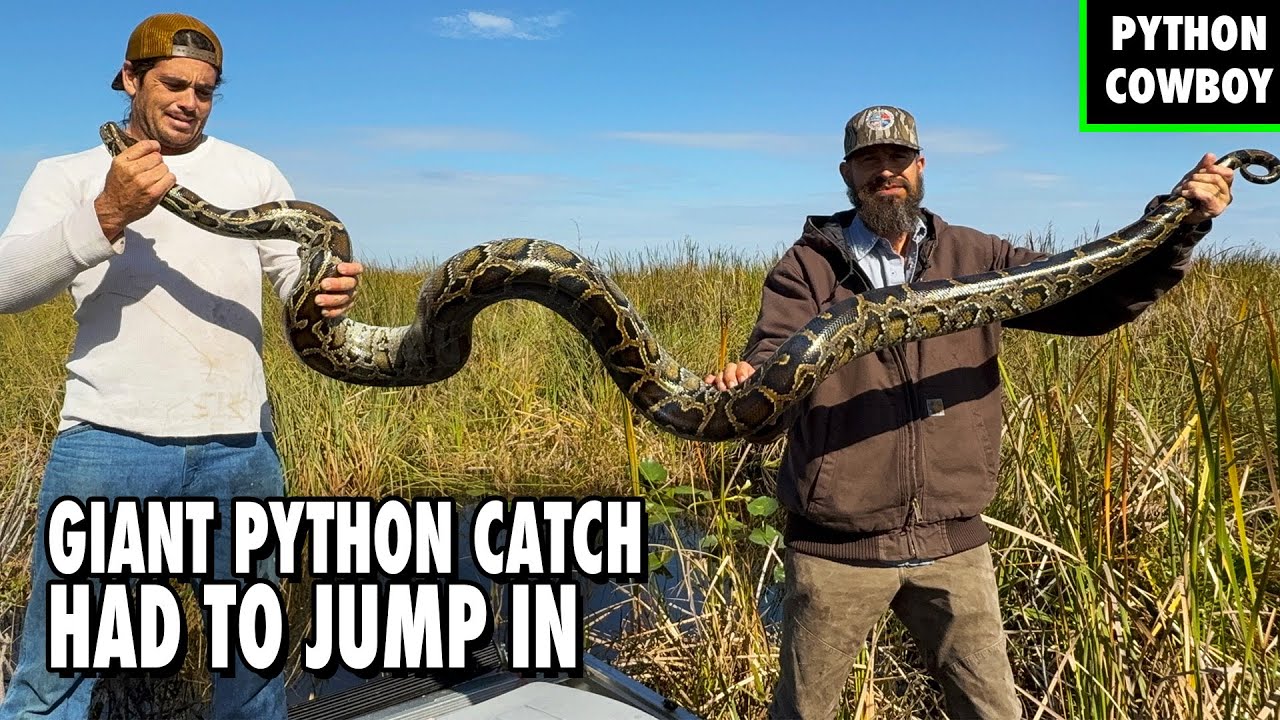 Airboat Python Hunt: Went FULL SEND for This Giant Python