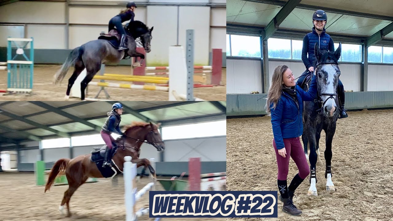 FELINEHOI SPRINGT OP G-LIME & LENTE EN LADY DOEN HET ZO GOED! | Weekvlog 22 | Horses by Demi