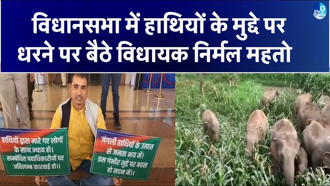 हाथियों से परेशान Jharkhand की जनता के लिए विधायक MLA Nirmal Mahato की Soren सरकार से बड़ी मांग