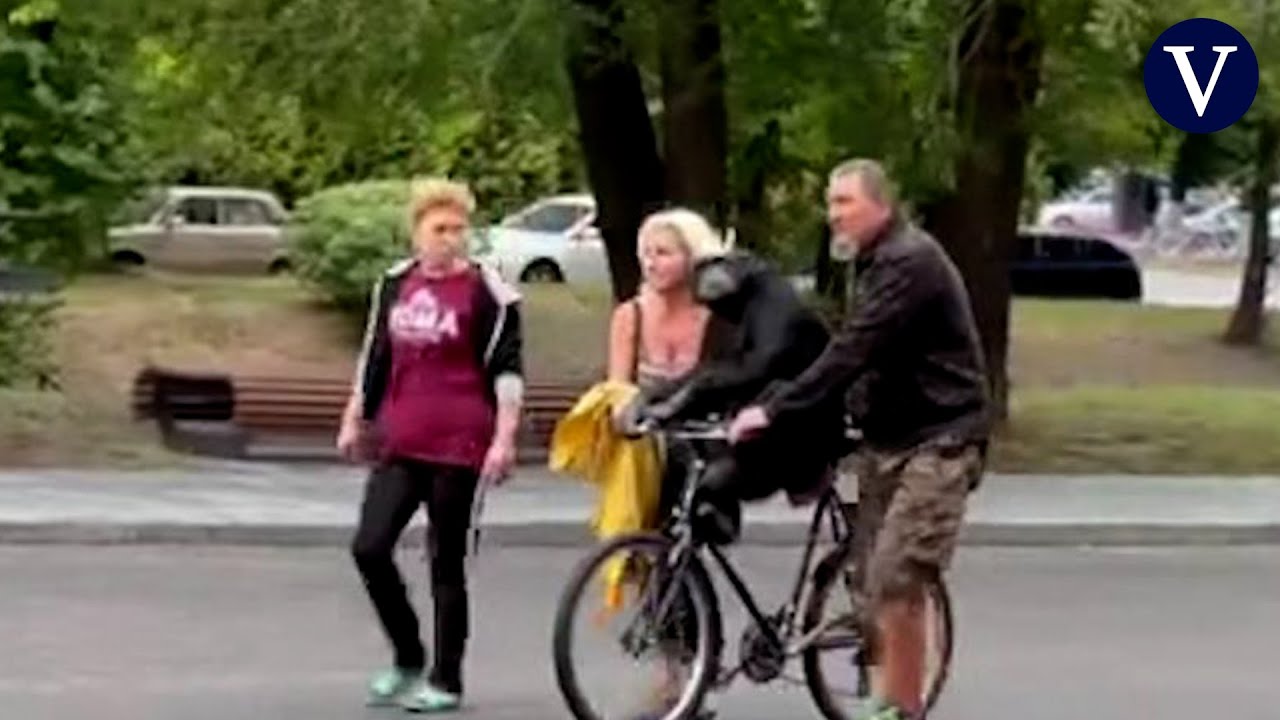 Un chimpancé escapa de un zoo de Ucrania asustado por los bombardeos y vuelve en bicicleta