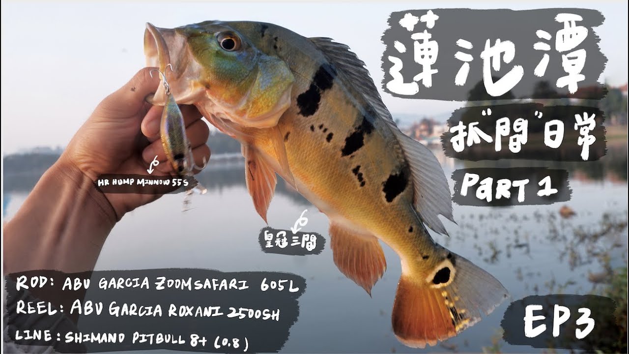 【庫斯比】第3集 蓮池潭打母光Part1 魚多到可能要出3集！(開ＣＣ字幕！）