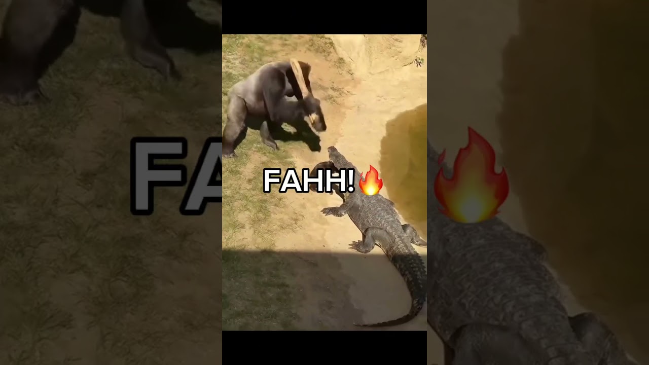 FAHH!🔥 #funny #lol #meme #hmmjoe #memes #bruhmoment #pluh #fahh #wthelly #nonchalant