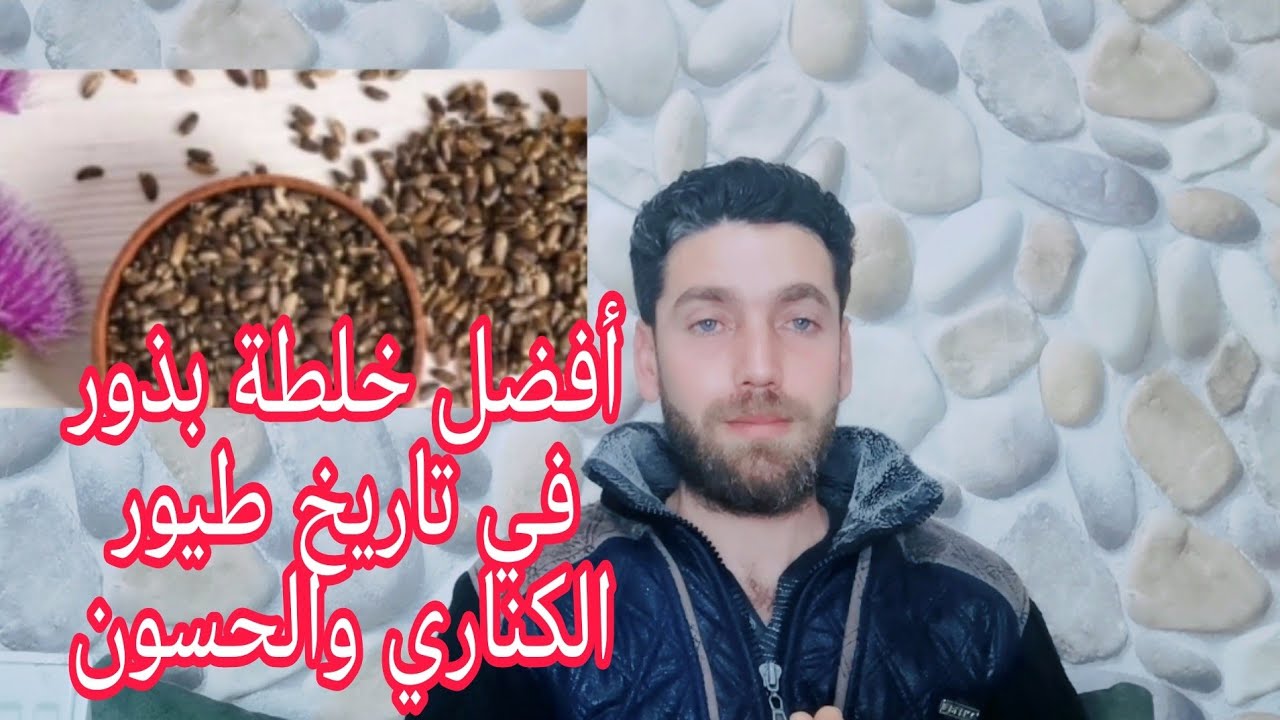 خلطة البذور التي يقدمها كبار محترفي الكناري والحسون في موسم التجهيز والإنتاج