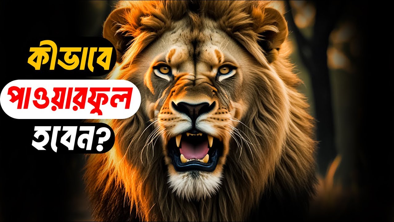 কীভাবে পাওয়ারফুল হবেন How To Be Powerful #motivation  #power #careerdevelopment #মোটিভেশনালকথা