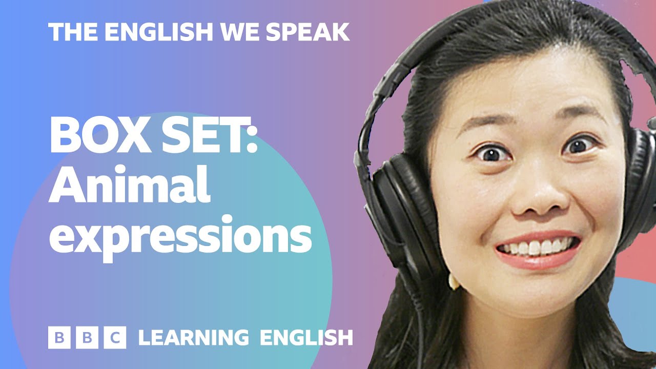 BOX SET: English vocabulary mega-class! Learn 10 English 'animal' expressions in 25 minutes!