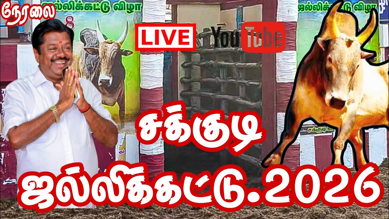 🔴Live |  சக்குடி ஜல்லிக்கட்டு 2026 மாபெரும்  ஜல்லிக்கட்டு திருவிழா நேரலை